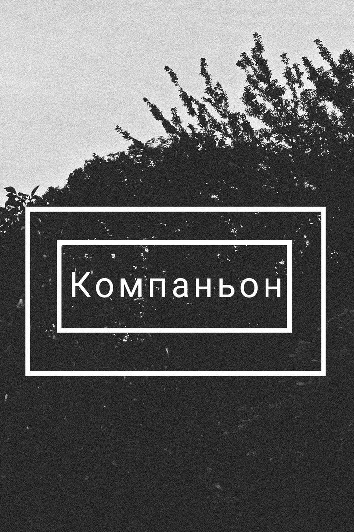 Обложка произведения Компаньон