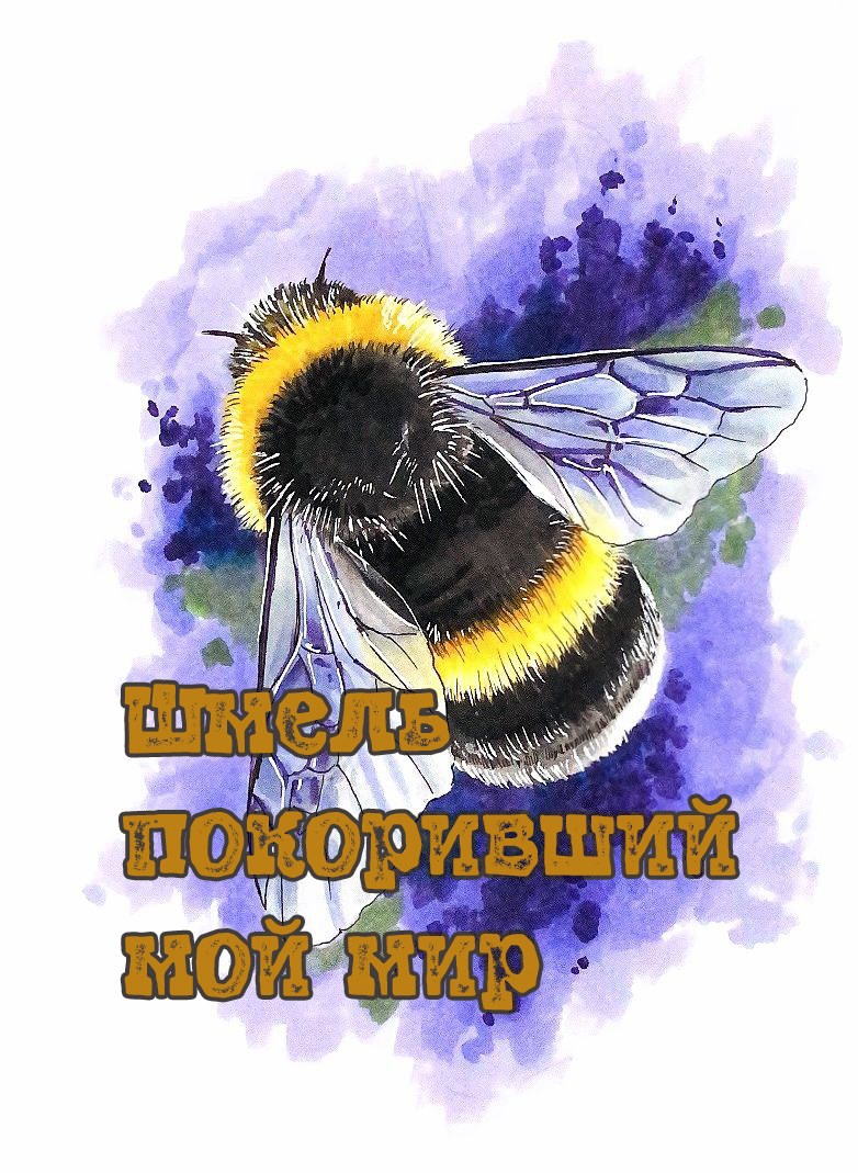 Обложка произведения Шмель покоривший мой мир
