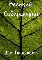 Обложка произведения Великий Собирающий