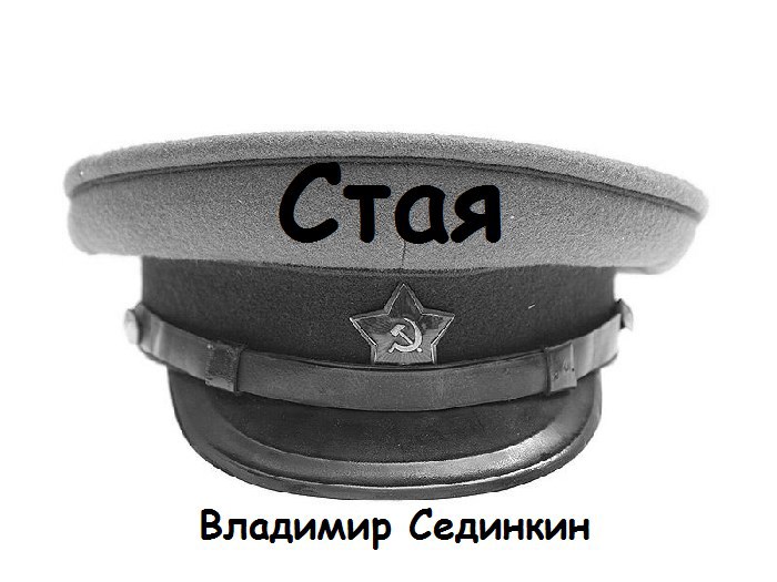 Обложка произведения Стая