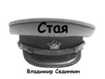 Обложка произведения Стая