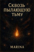 Обложка произведения Сквозь пылающую тьму