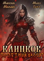 Обложка произведения Клинков 5. Последний хаосит