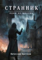 Обложка произведения Странник: один из многих