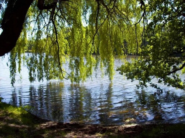 Обложка произведения Глоток воды, луч света