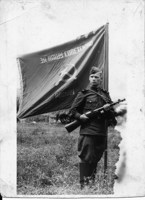 Обложка произведения Мы из Бадена