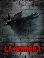 Обложка произведения La sombra