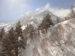 Обложка произведения Контакт с неизвестными существами.