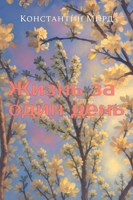 Обложка произведения Жизнь за один день