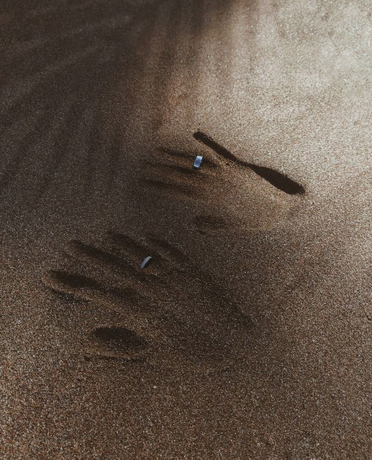 Обложка произведения Оазис