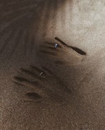 Обложка произведения Оазис