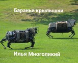 Обложка произведения Бараньи крылышки