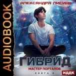 Обложка произведения 8. Мастер порталов (аудио)