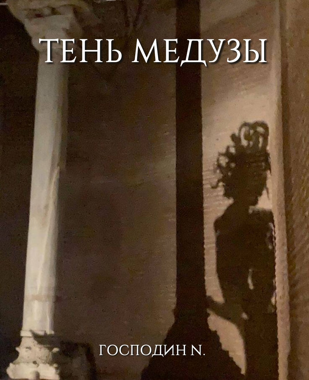Обложка произведения Тень Медузы
