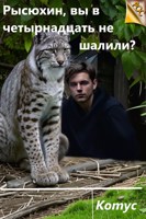 Обложка произведения Рысюхин, вы в четырнадцать не шалили?