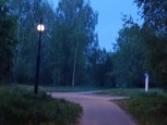 Обложка произведения Кладбище гномов