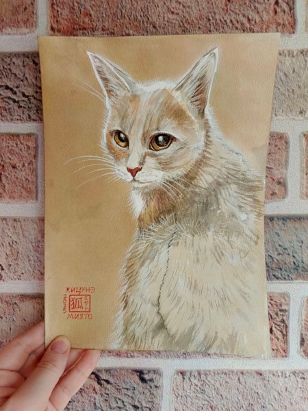 Иллюстрация