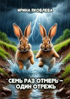 Обложка произведения Семь раз отмерь - один отрежь
