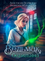 Обложка произведения Ведьмак без изъяна