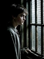 Обложка произведения Гарри и Деревенский гоблин. ( Первая глава второй части)