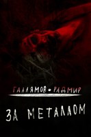 Обложка произведения За металлом