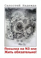 Обложка произведения Посылка на N3 или Жить обязательно!