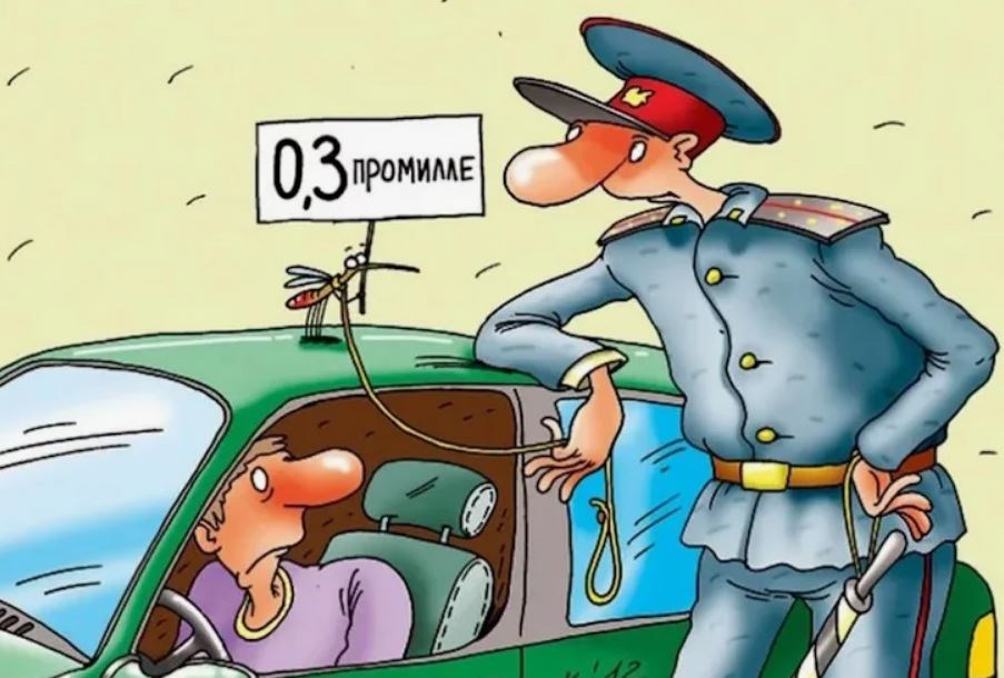 Обложка произведения Дорожная повесть стихами (ДПС)