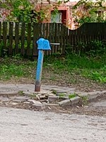 Обложка произведения Мои Городецкие удивления