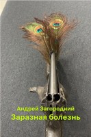 Обложка произведения Заразная болезнь