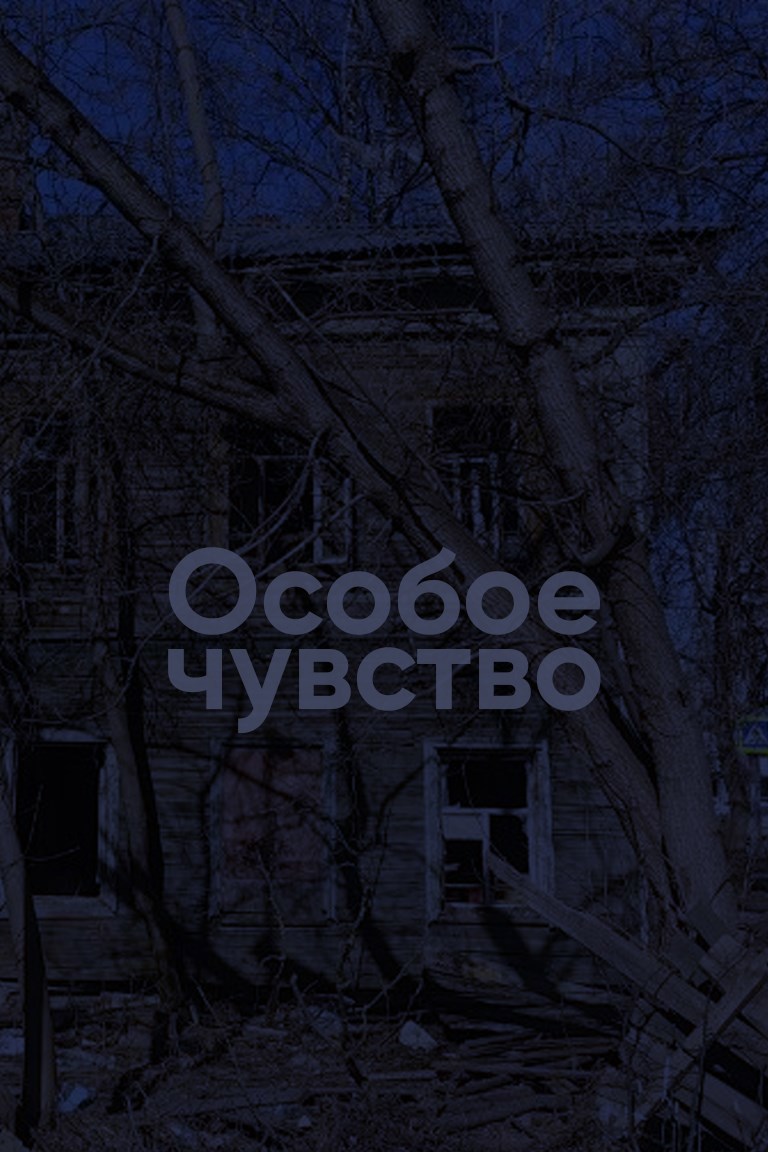 Обложка произведения Особое чувство