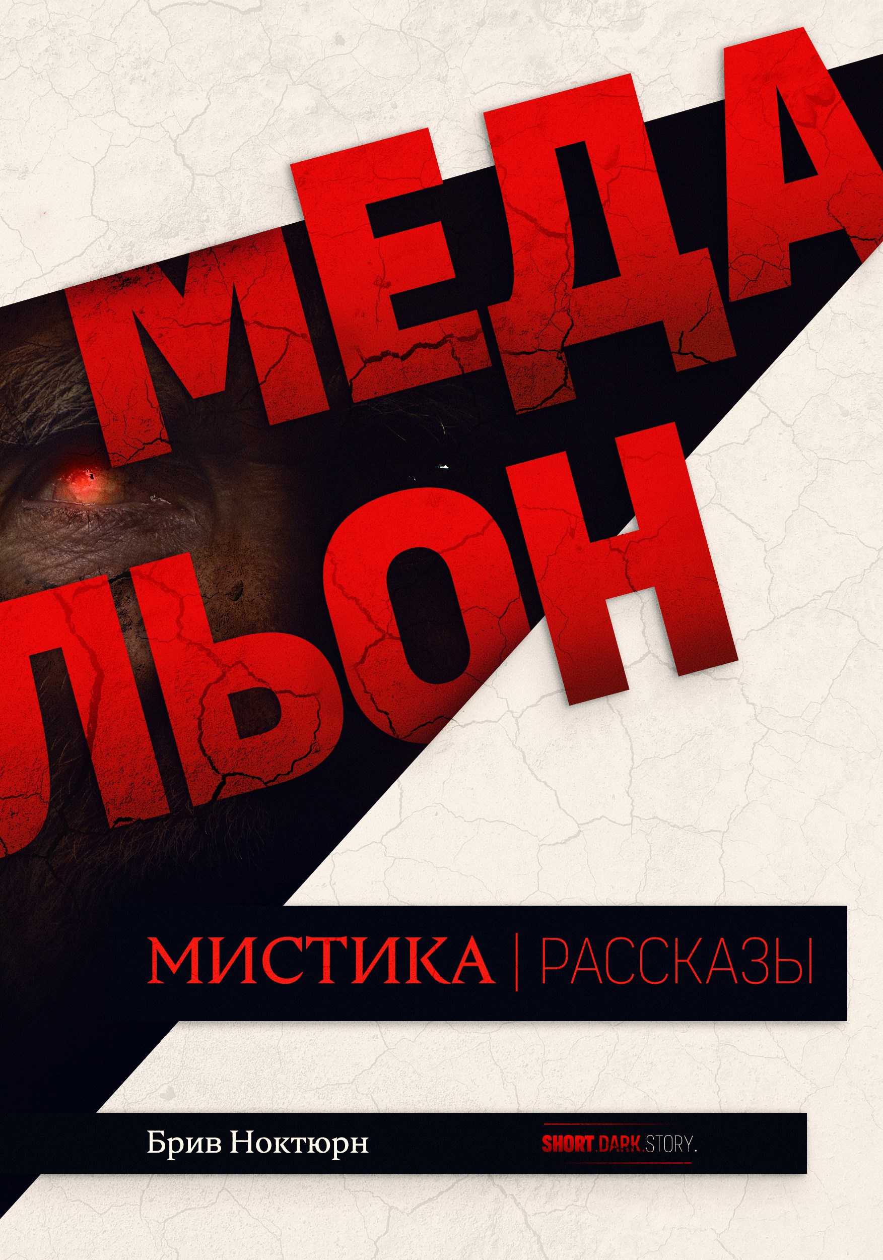 Обложка произведения Медальон.