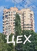 Обложка произведения Цех