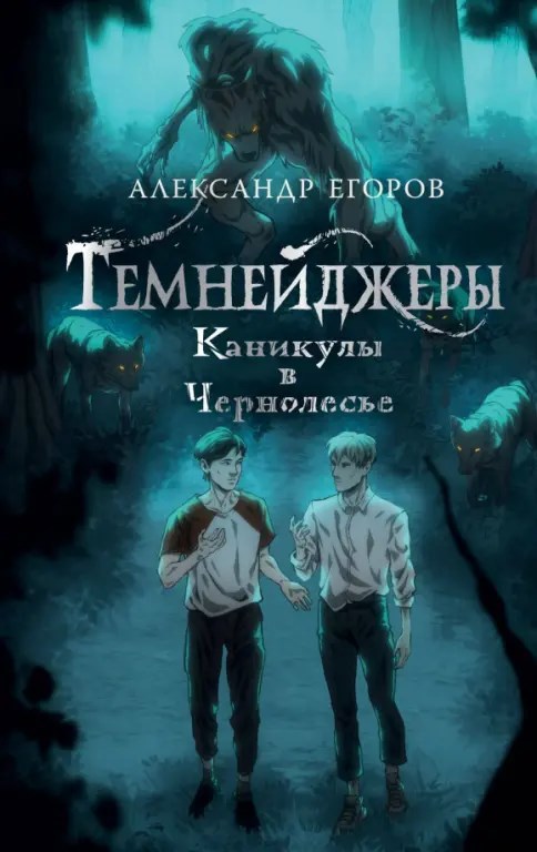 Обложка произведения Темнейджеры. Каникулы в Чернолесье