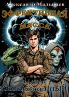 Обложка произведения Эффективная масса
