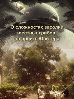 Обложка произведения Удравший с апокалипсиса. На орбите Юпитера. Часть первая: чужие вещи.