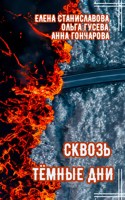 Обложка произведения Сквозь тёмные дни (аудио)