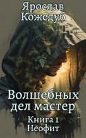 Обложка произведения Волшебных дел мастер. Книга 1. Неофит
