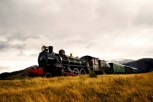 Обложка произведения "Фантомная боль" ("Сортировщики")