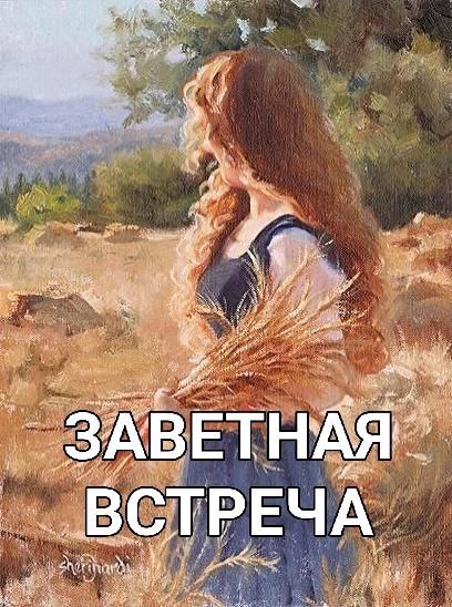 Обложка произведения Заветная встреча