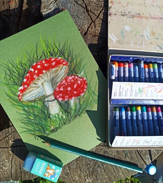 Иллюстрация