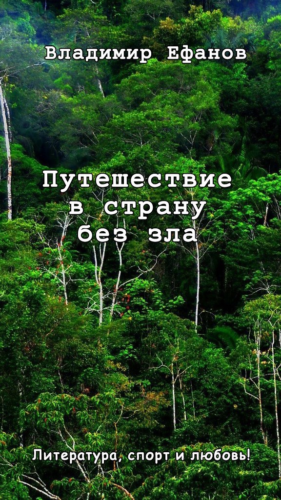 Обложка произведения Путешествие в страну без зла