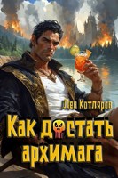 Обложка произведения Как достать архимага