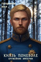 Обложка произведения Князь поневоле. Оружейник Империи