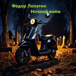Обложка произведения Ночной вояж