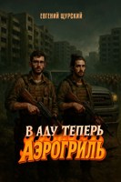 Обложка произведения В аду теперь аэрогриль