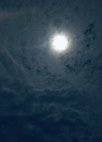 Обложка произведения Тараксакум