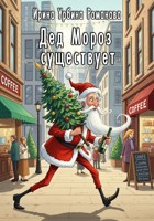 Обложка произведения Дед Мороз существует