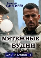 Обложка произведения Мятежные будни