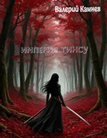 Обложка произведения Империя Тинсу.