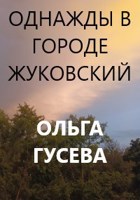 Обложка произведения Однажды в городе Жуковский
